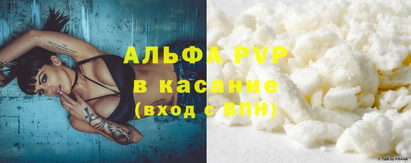 сатива Беломорск