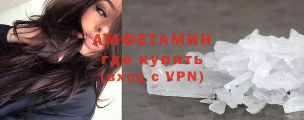 сатива Беломорск