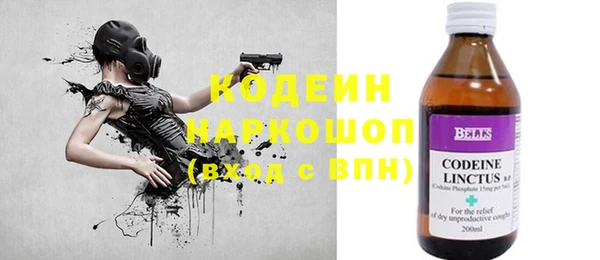 сатива Беломорск