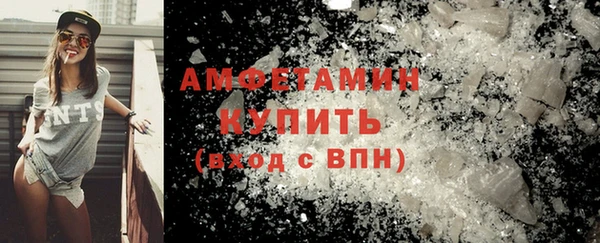 сатива Беломорск