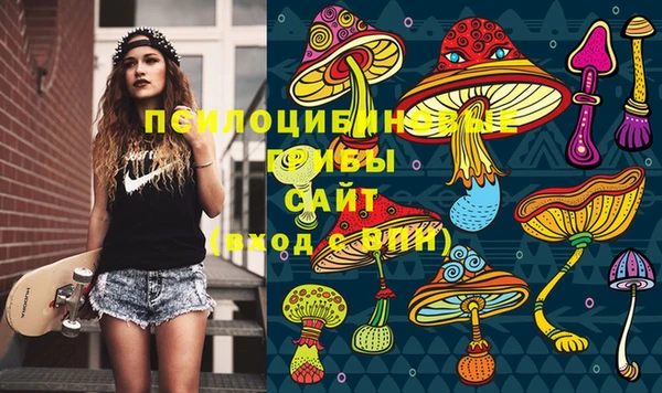 кокс Белокуриха