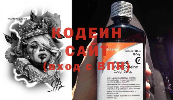 сатива Беломорск