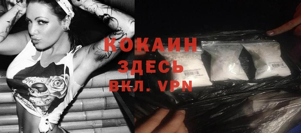 сатива Беломорск