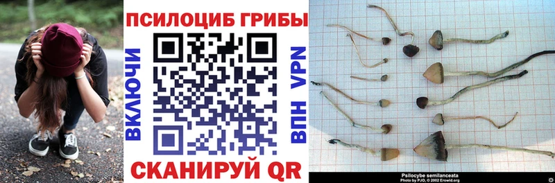 Галлюциногенные грибы MAGIC MUSHROOMS  Жуковка 